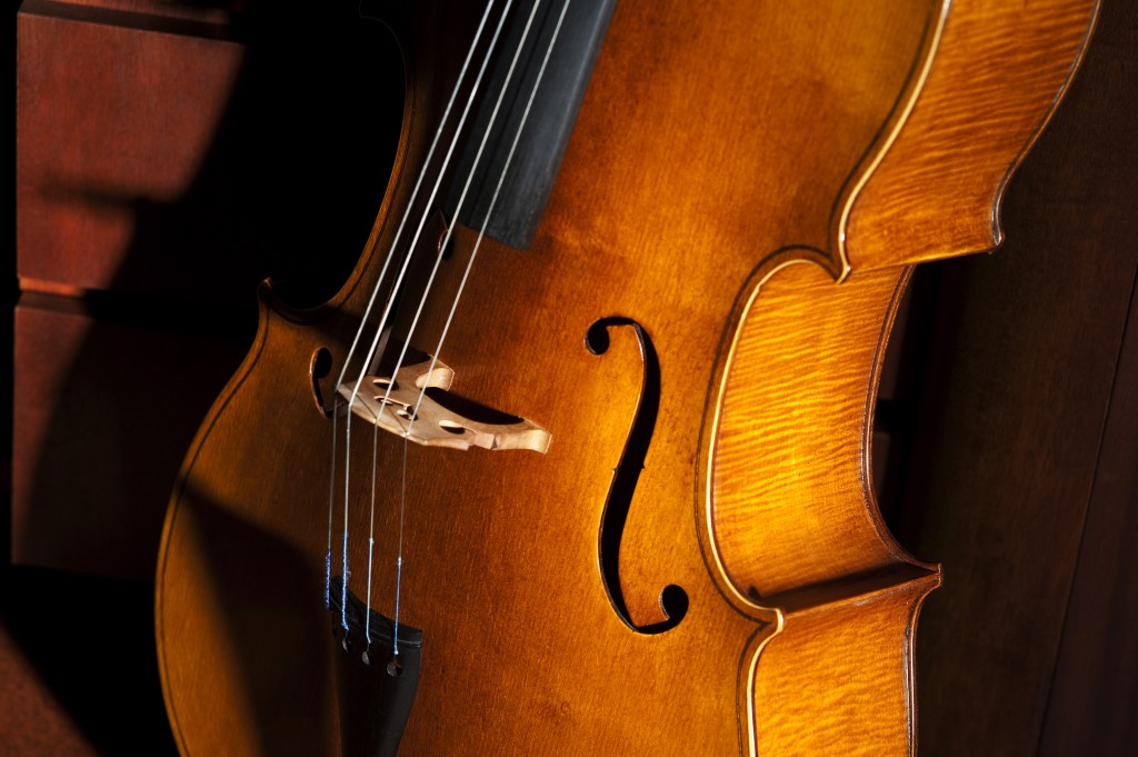 Frequently Asked Questions about Cello Lessons Davis Cello Studio